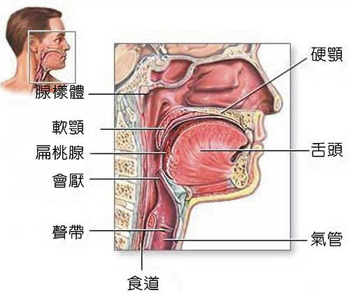 包皮包茎的治疗方法