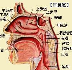 射精障碍术前术后的护理方法