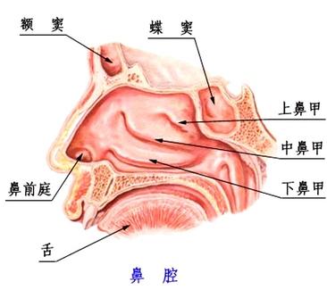 患有阳痿有什么症状表现？