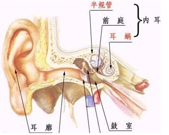 外耳道炎有什么危害？
