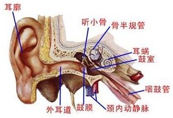 包皮龟头炎的症状有哪些？