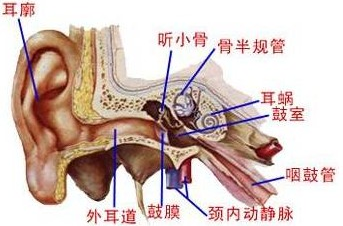 慢性尿道炎怎么办