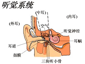 治疗睾丸附睾炎有哪些方法？哪种效果最好？