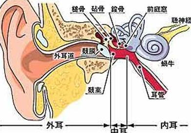 尿道炎的治疗医院