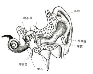 精囊炎的治疗