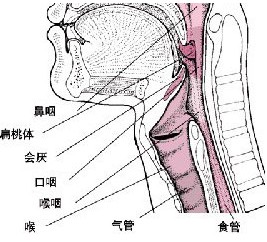 乌兰察布治疗阴茎短小要多少费用