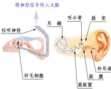 乌兰察布如何治疗包皮龟头炎