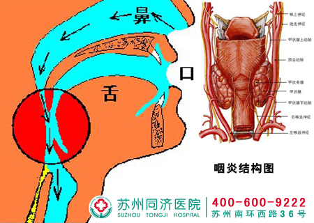 包皮包茎是怎么引起的