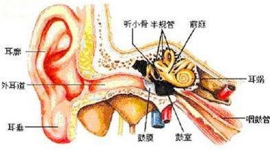 治疗睾丸附睾炎哪家医院好